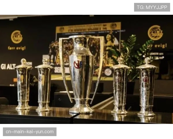 博德闪耀总身价仅八千万欧元，阵容厚度不足难撑双线作战